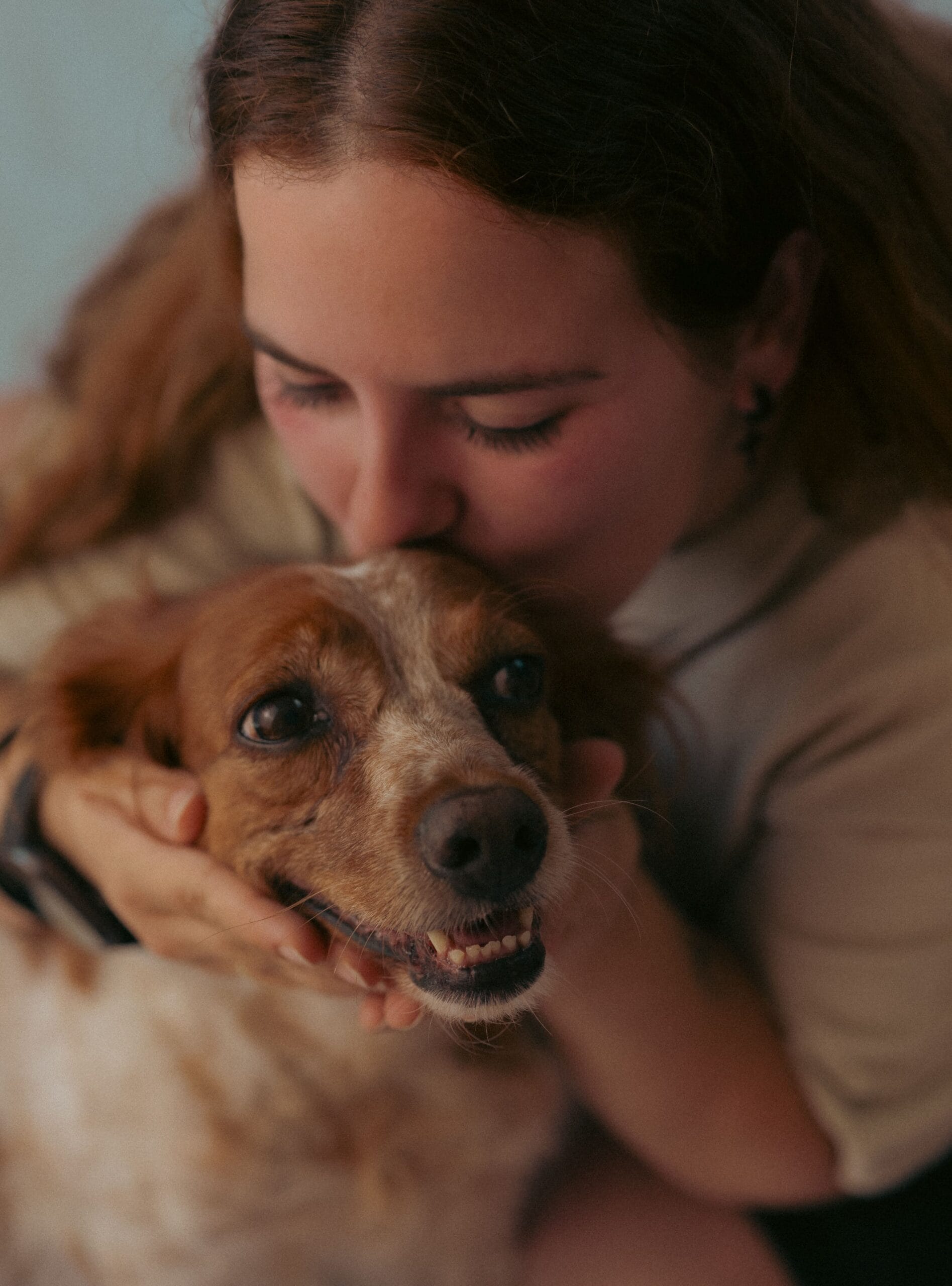 FOTOGRAFIA-PARA-PERROS